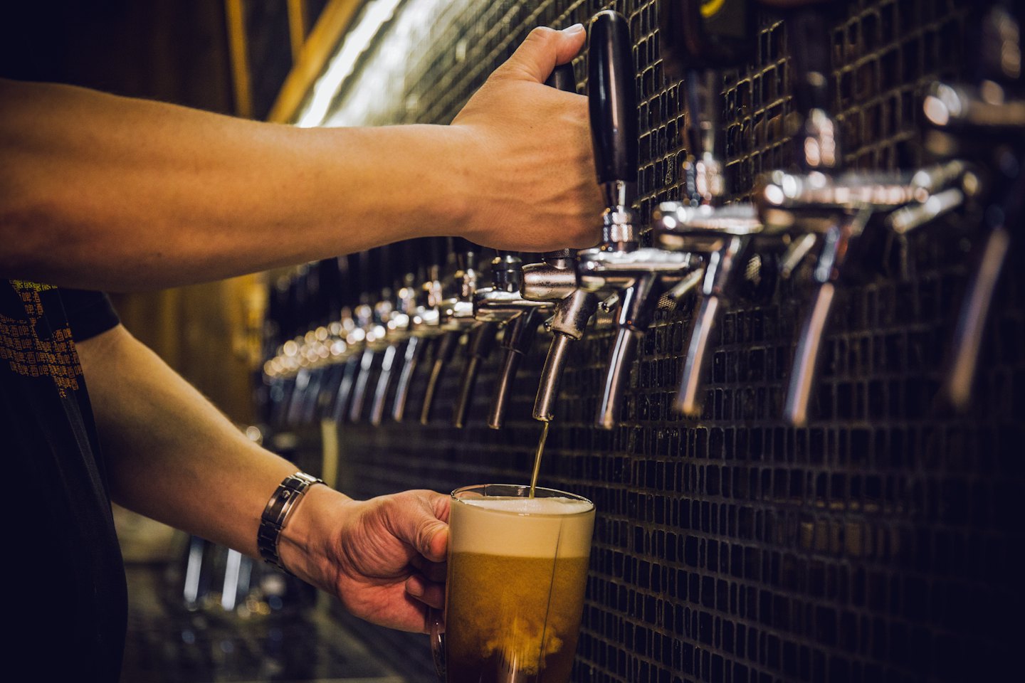 Bartender pours a cold draft beer into a clear pint glass.